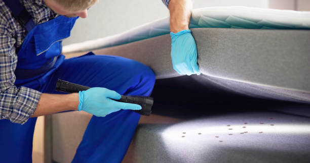  Benbrook, TX Pest Control Pros